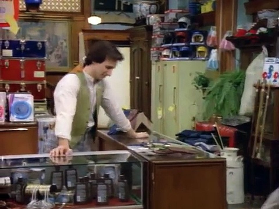 Perfect Strangers - S1 E02 Picture This