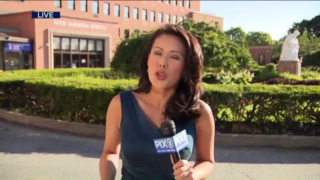 Sharks Caught Off Coast of Fire Island Beaches After 2 Possible Attacks