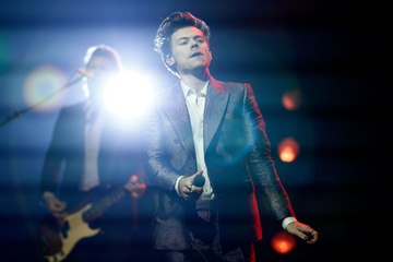 Harry Styles Helps a Fan Come out to Her Mom During His Concert
