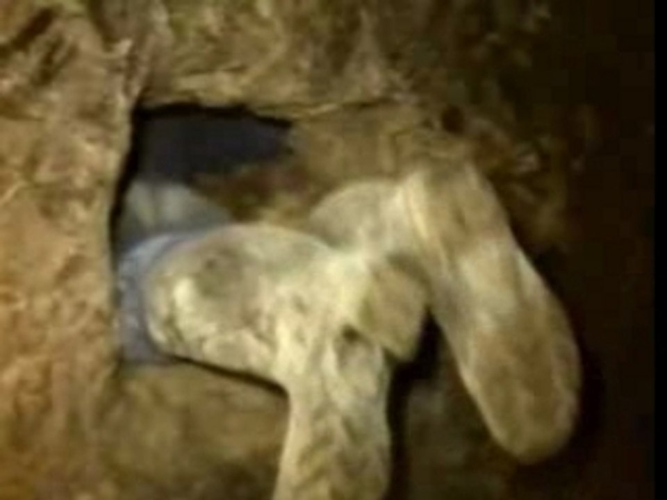 Paris Under-Ground 3