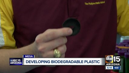 ASU researchers developing biodegradable plastics made from bacteria