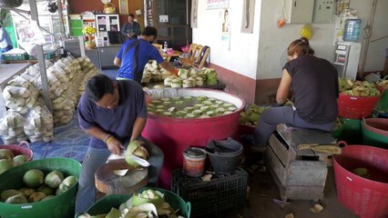 AMAZING COCONUT FACTORY CHIANG RAI THAILAND