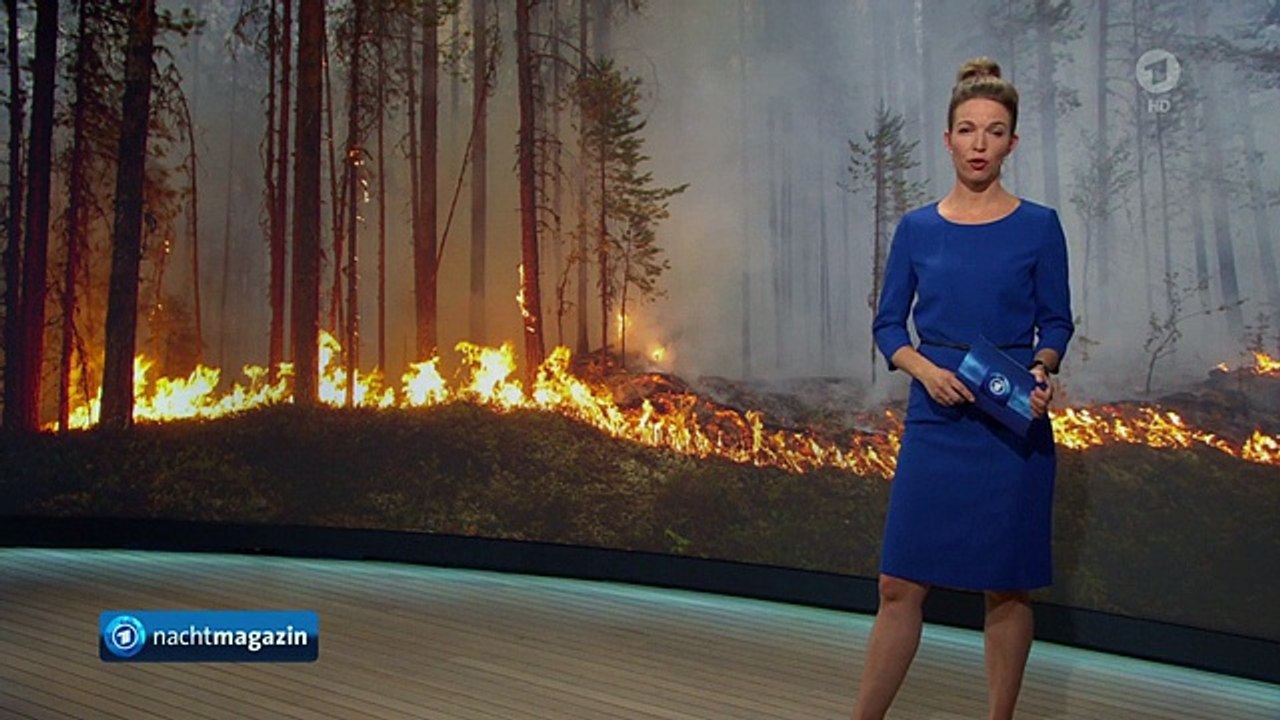 Mehr als 40 Feuer: Waldbrände in Schweden
