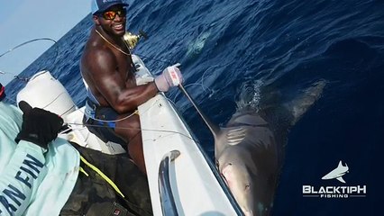 Monster Goliath Groupers with NFL Linebacker Sam Barrington - 4K