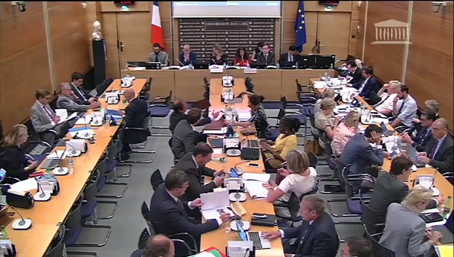 Commission des lois : Pour une immigration maîtrisée, un droit d'asile effectif et une intégration réussie - Mercredi 18 juillet 2018