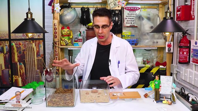 SUPERGUSANOS VS HORMIGAS DE FUEGO | Experimentos con Mike