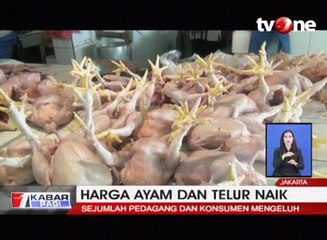 Harga Ayam dan Telur Terus Naik