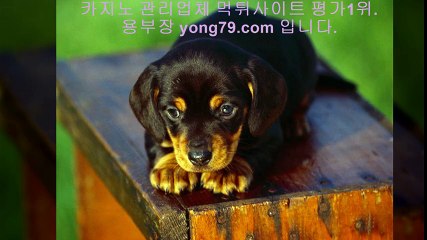 안전놀이터검증 ▨【【 yong79。ＣOM 】】▨ 안전놀이터검증