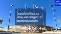 El campo de Golf de Matalascañas, un riesgo para la fauna y el ser humano