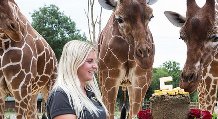 GOODLINES: July 21st-22nd 2018