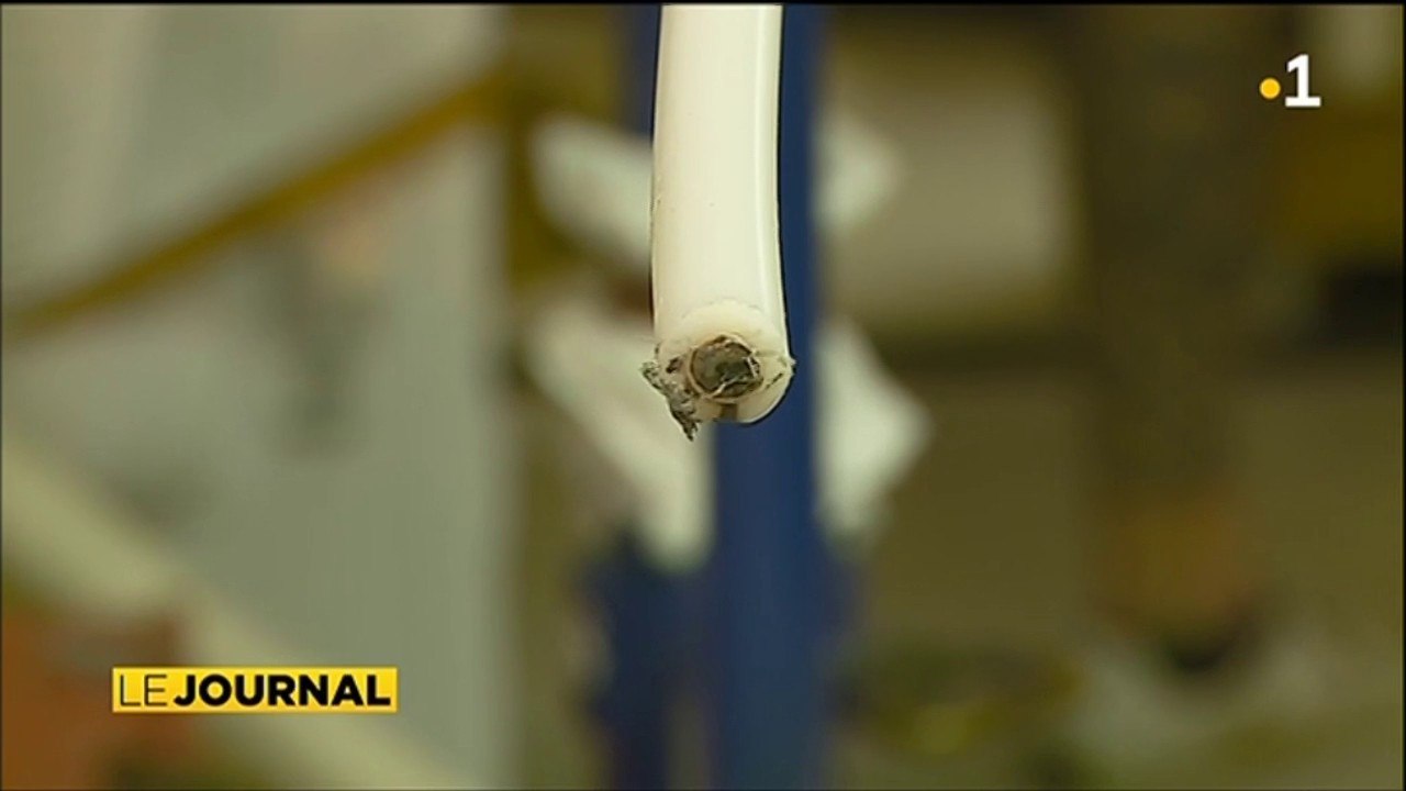 Le cable Natitua qui sera posé dans les Tuamotu