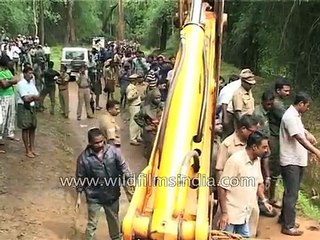 Crane is used to rescue injured elephant in Kerala