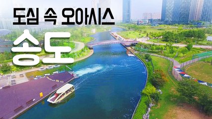 [YTN 구석구석 코리아] 도심 속 오아시스, 송도 / YTN