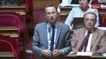 Affaire Benalla : vers une commission d’enquête également au Sénat