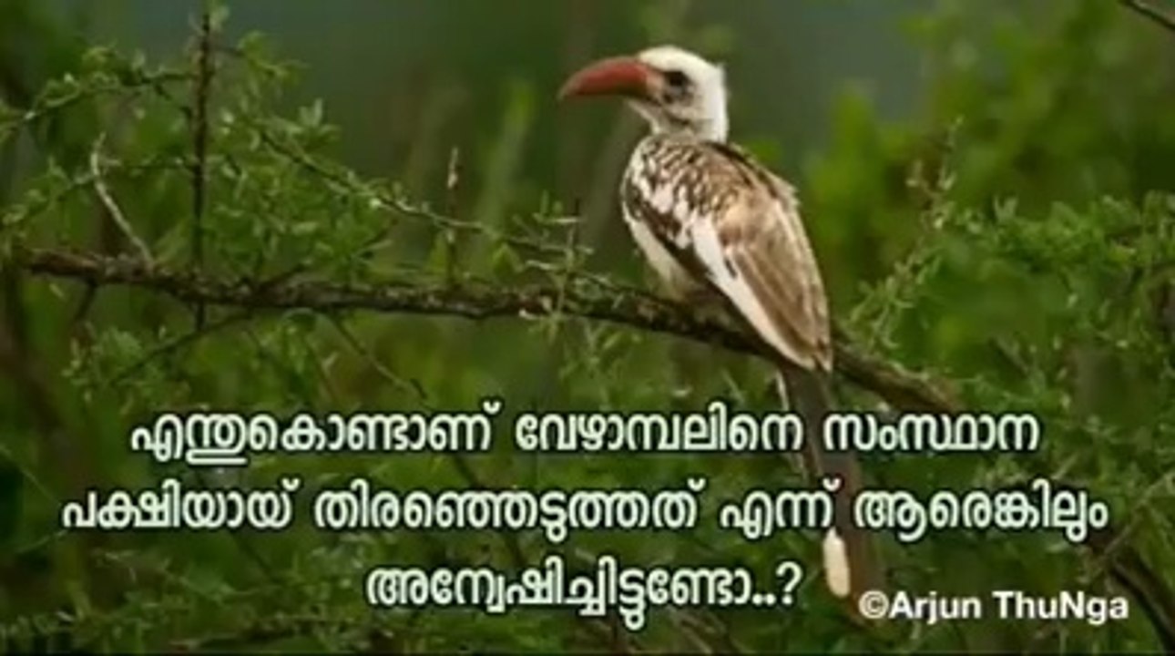 whatsappstatus