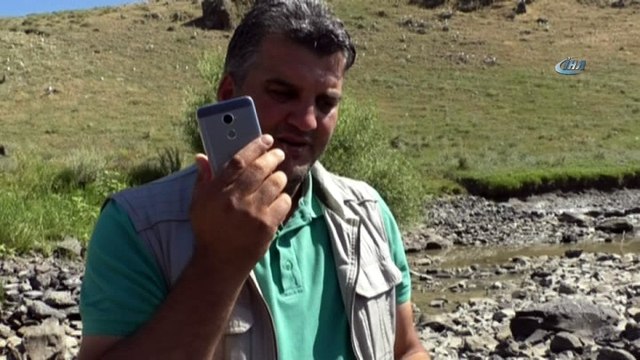 Baraj önünde sıkışan balıklar havasızlıktan telef oluyor