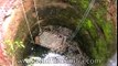 Forest officers rescue leopard from a well in India