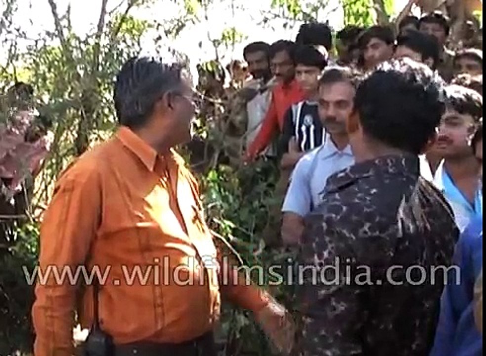 Foresters rescue leopard from open well in Junagarh