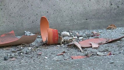 Pa Koment - Bombë në dyqanin e motrës së gjyqtarit të Kushtetueses