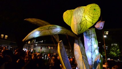 Pacific NorthWEIRD theme song by UFO Phil