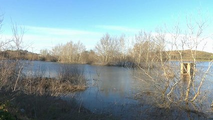 Цена за побег к свободе: трагедия на турецко-греческой границе