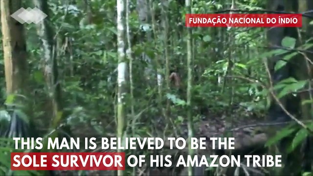 Incredible Footage Shows Sole Survivor Of Amazon Tribe