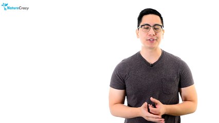 Top 8 Tips For Reversing Accutane Side Effects