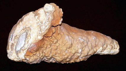 [대전·대덕] 지질자원연, 'CO2를 품은 돌, 석회암' 특별전 / YTN