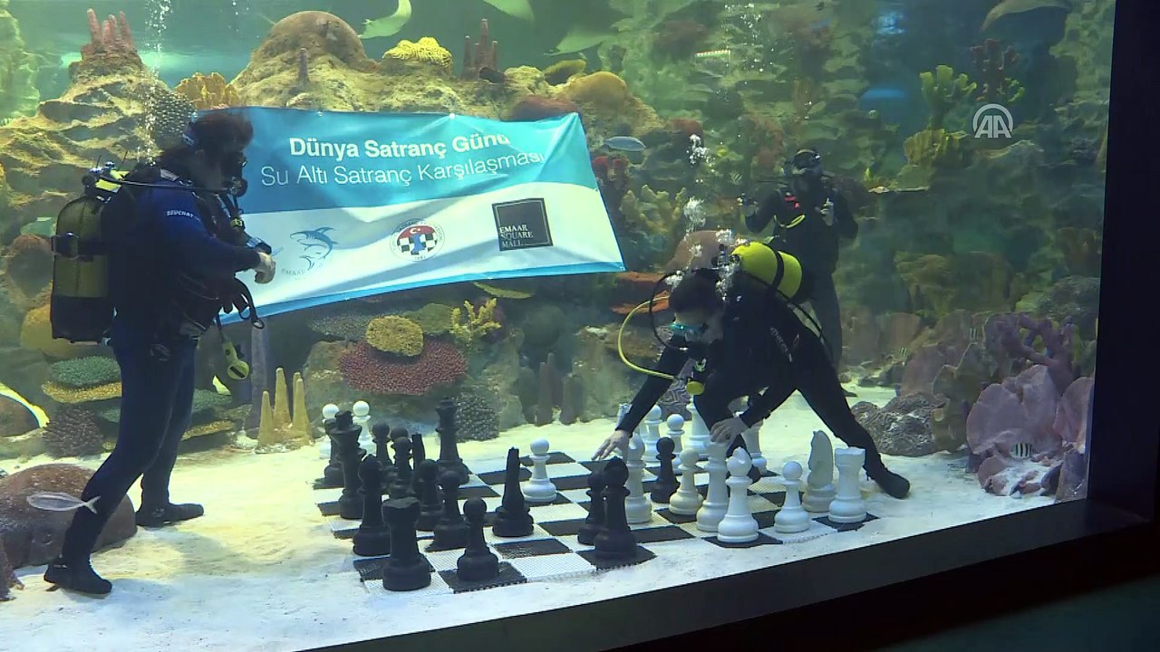 Dünya Satranç Günü su altında kutlandı İSTANBUL Dailymotion Video