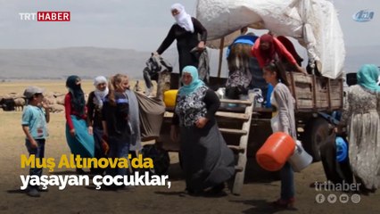 Yaz tatilinde ailelerine süt sağımında yardım ediyorlar