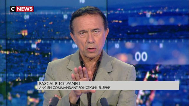 Les gestes d'Alexandre Benalla analysés par un expert