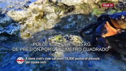 The Coolest Places On Earth S01 E08