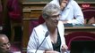 La sénatrice socialiste Marie-Noëlle Lienemann contre l'objectif de 40 000 logements sociaux par an