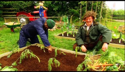 Gigglebiz Farmer Dung and Reggie get down to the serious task of pulling up carrots