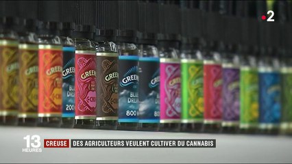 Agriculture : la culture du cannabis thérapeutique, une idée pour relancer le secteur
