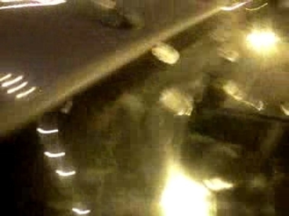 Les pigeons lui ont chié dessus :D
