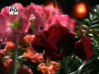 Beyond Belief Fact Or Fiction S04E08 Caitlin's Candle, The Flower Jury, The Mentor, The Old Bike & The Music Teacher