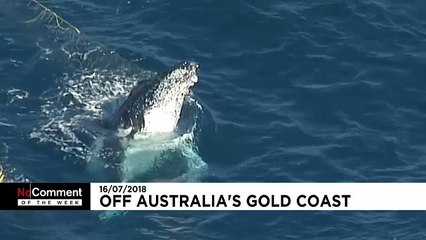 No Comment за неделю