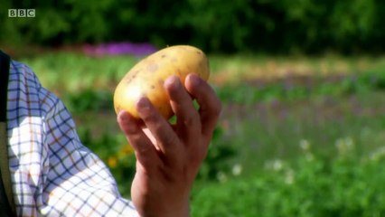 Gigglebiz Farmer Dung and his best friend Reggie have a chuckle digging up potatoes