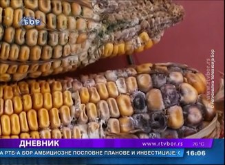 Dnevnik, 20.jul 2018. (RTV Bor)