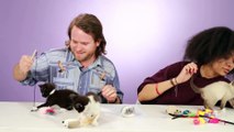 Cat Lovers Play With Kittens While Learning Cat Facts