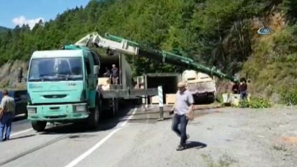 Balık yüklü tır kaza yaptı balık kutuları yola saçıldı.