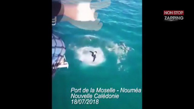Un Français attaqué par un requin à Nouméa en Nouvelle-Calédonie (vidéo)