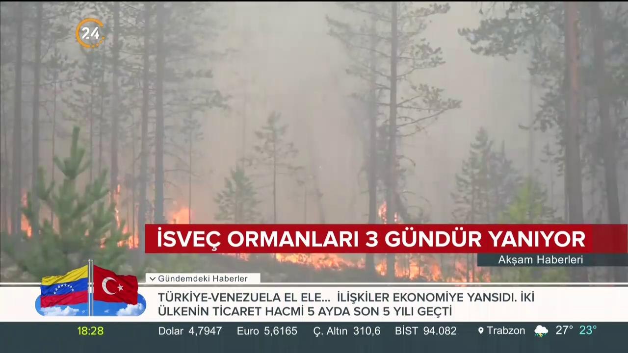 Orman Yangını