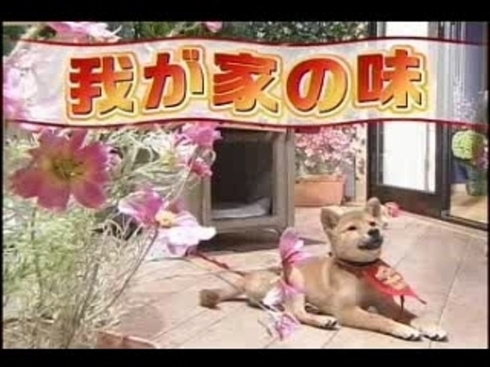 12.16　平成ファミリーズ10-2