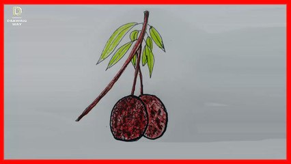 How to draw Litchi step by step (লিচু) ( 102 )