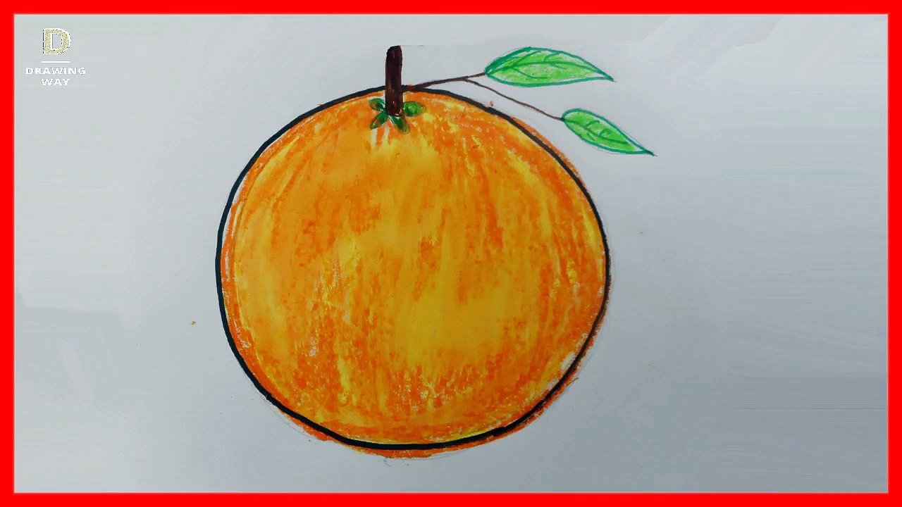 How to draw Orange step by step for kids (কমলালেবু আঁকা) ( 105 )