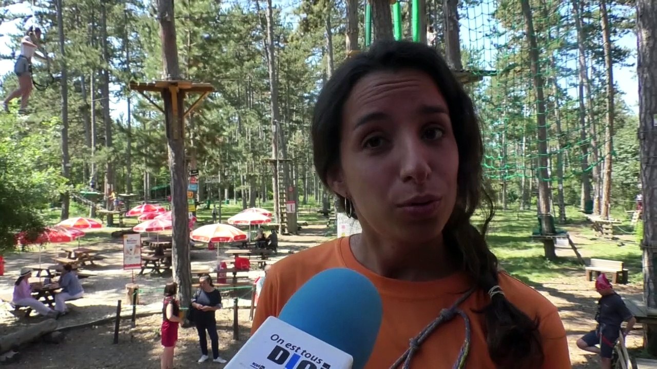 Alpes-de-Haute-Provence : grimpez aux arbres avec le parcours acrobatique Arbre et aventure