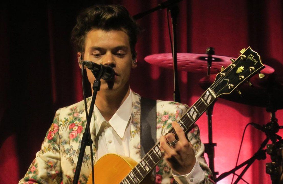 Harry Styles raises 1.2m for charity
