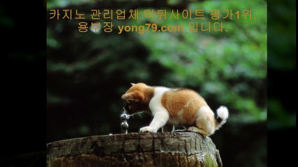 불법토토사이트 ■【【 yong79。ＣOM 】】■ 슈퍼카지노